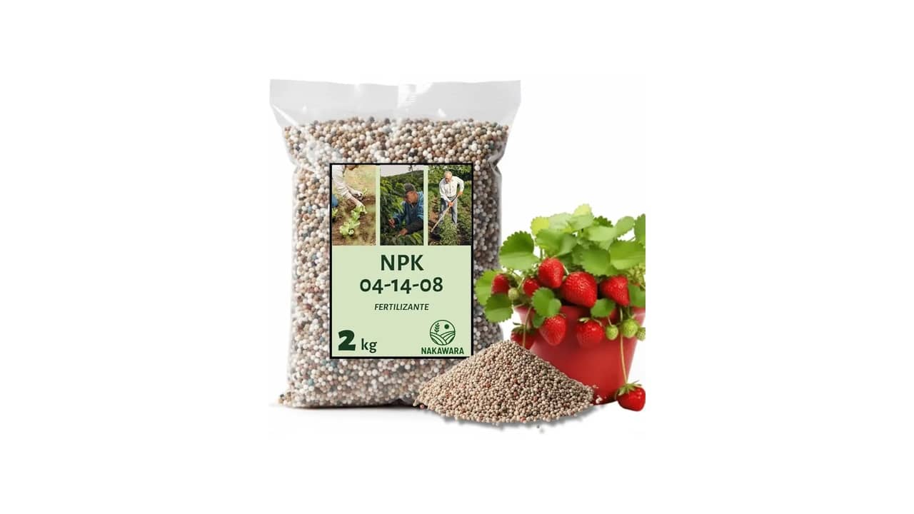 Melhor Adubo para Milho: Nutrição Equilibrada para Cultivos Robustos