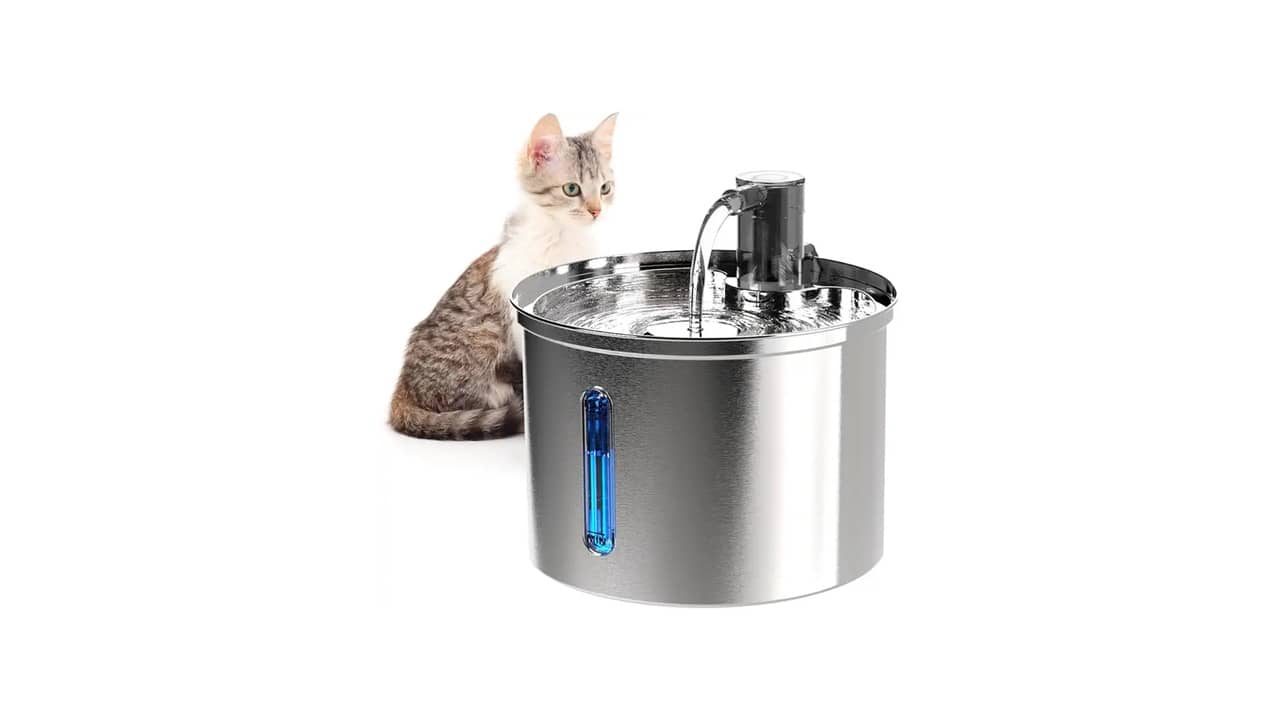 Melhor Bebedouro para Gato: 10 Opções Silenciosas com Filtragem
