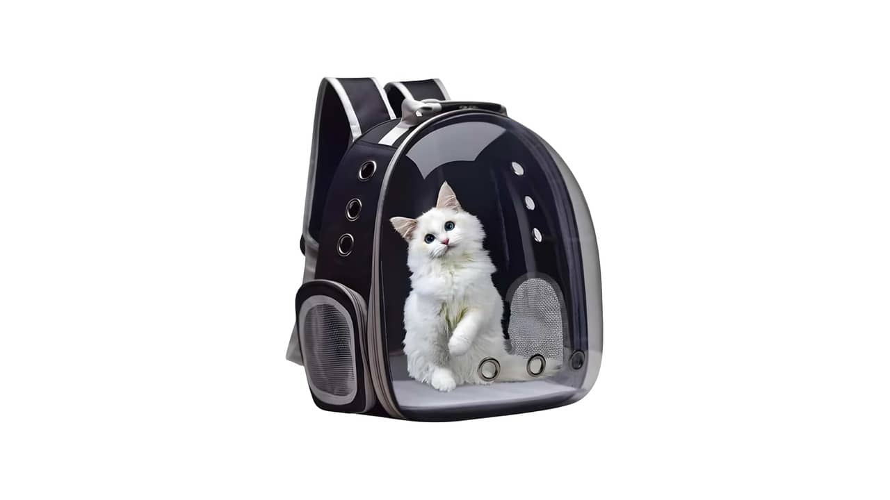 Melhor Bolsa de Transporte para Gato e Cachorro: Aprovada para Avião e Alta Ventilação