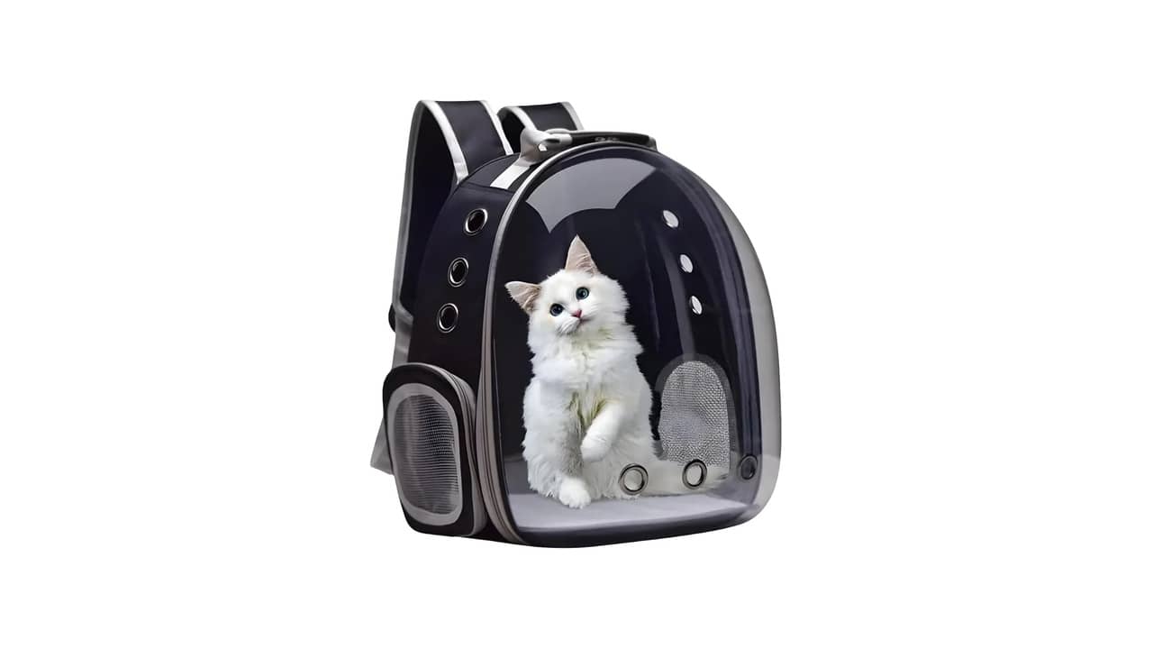 Melhor Bolsa de Transporte para Gato: Conforto e Segurança em Viagens