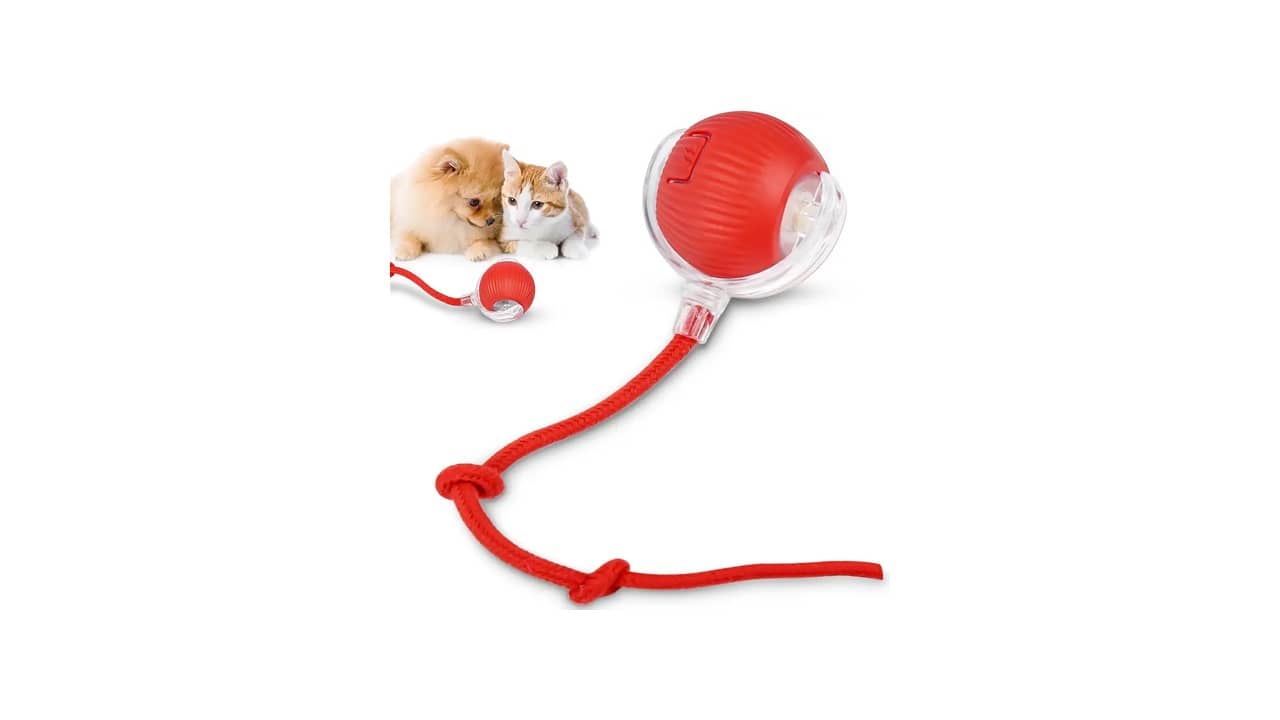 Melhor Brinquedo de Gato: Quais Estimulam Mais o Seu Pet?
