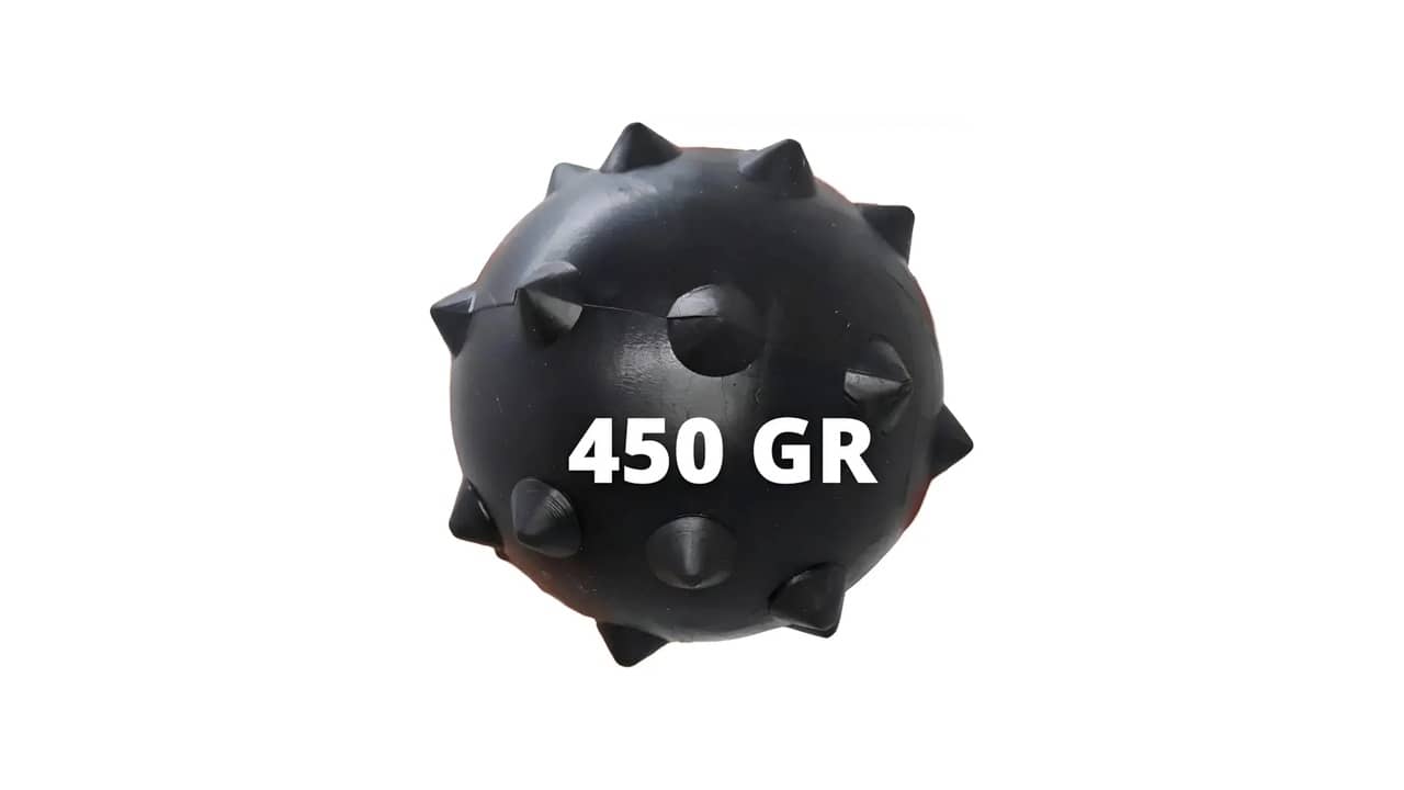 Melhor Brinquedo para Cão Grande: Qual É a Mais Durável?