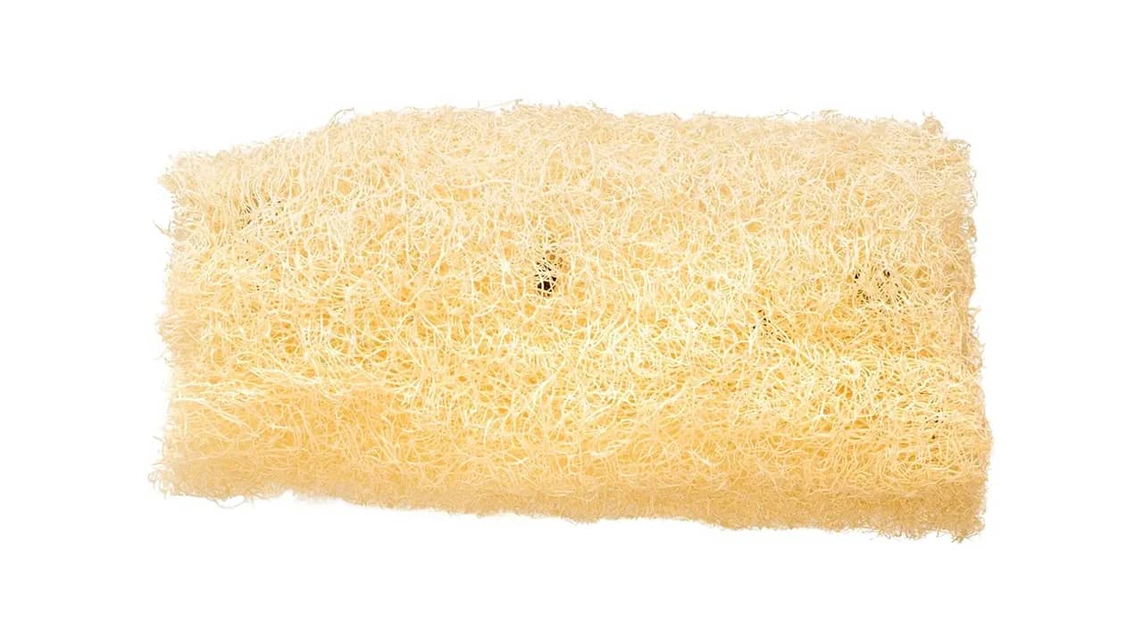 Melhor Bucha Vegetal: Escolha Inteligente para Limpeza Ecológica