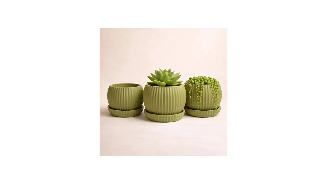 Melhor Cachepô: Design Elegante para Plantas Pequenas