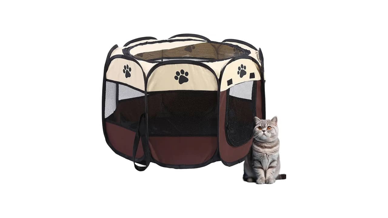 Melhor Cercado para Gato: 10 Opções Portáteis e Impermeáveis