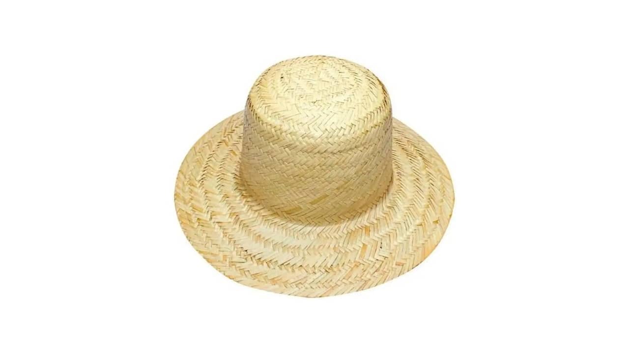 Melhor Chapéu de Palha: Proteção Solar e Estilo para Praia