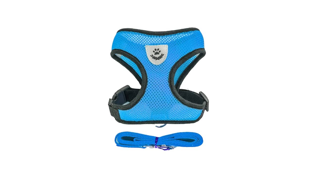 Melhor Coleira para Gato: Segurança e Conforto Para o Seu Pet