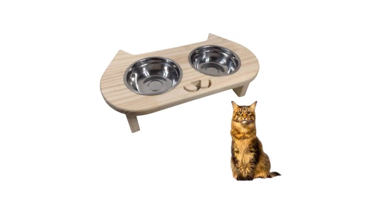 Melhor Comedouro para Gatos: 10 Opções Elevadas e Ergonômicas
