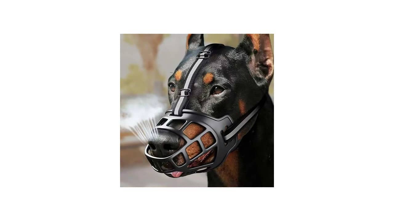 Melhor Focinheira: Análise de 10 Modelos Top para Cães