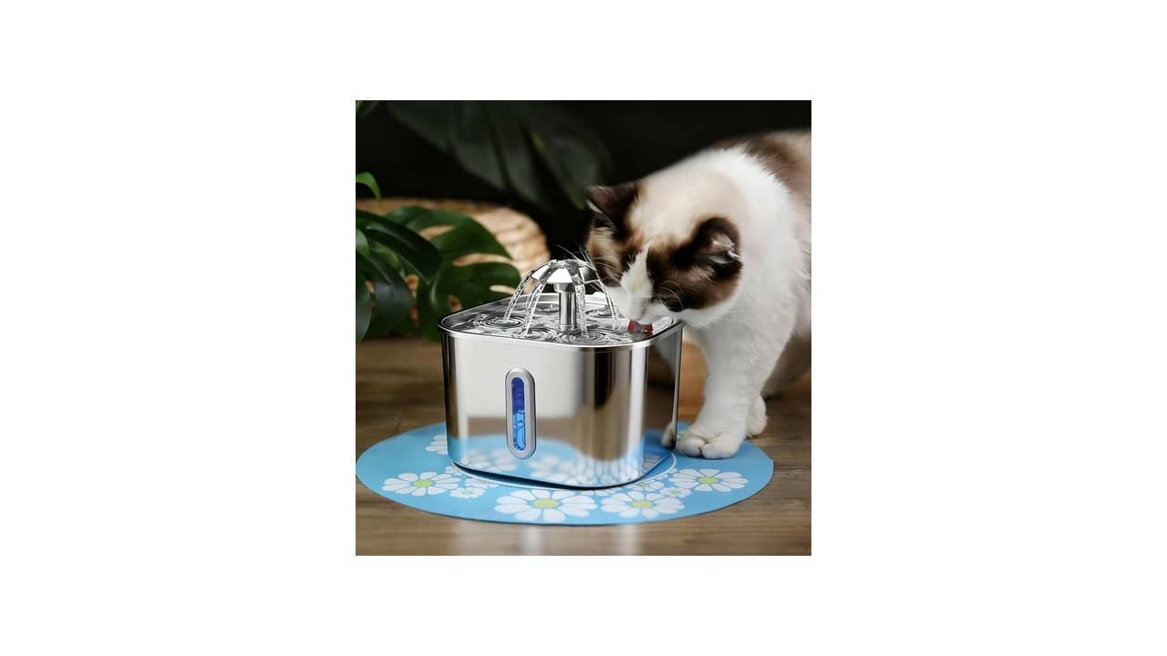 Melhor Fonte de Água Automática para Gato: 9 Modelos com Filtragem Silenciosa