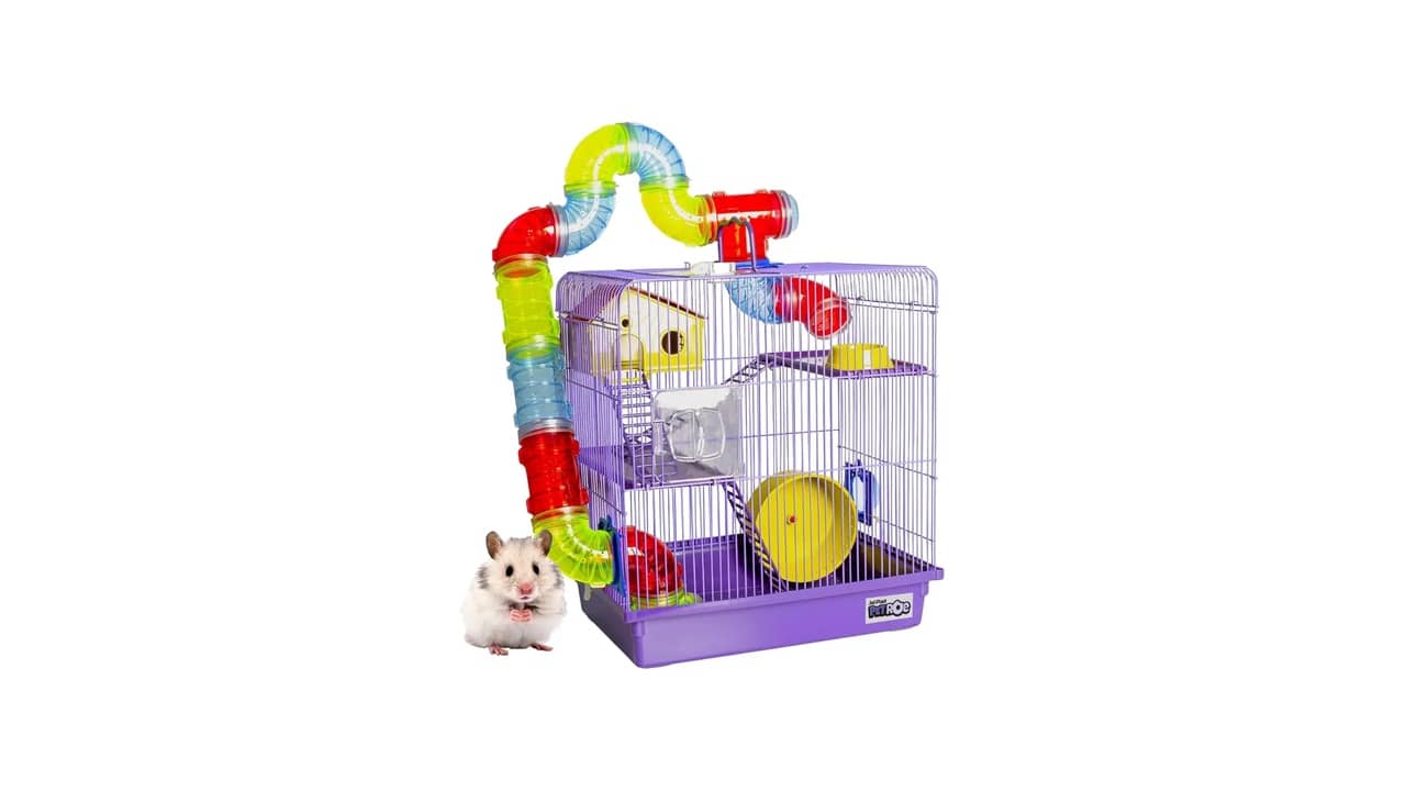 Melhor Gaiola para Hamster: 10 Opções Completas e Compactas