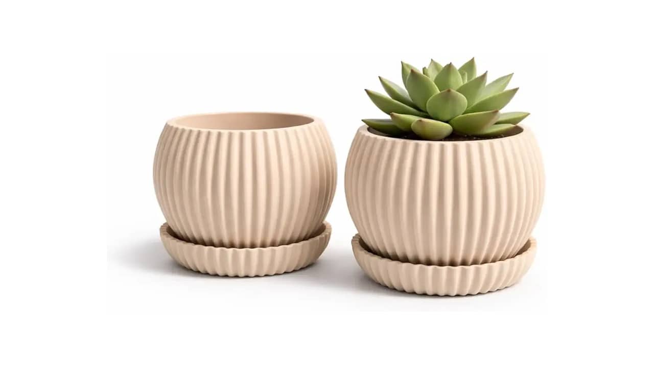 Melhor Vaso para Suculenta: 10 Opções Com Drenagem Cachepô