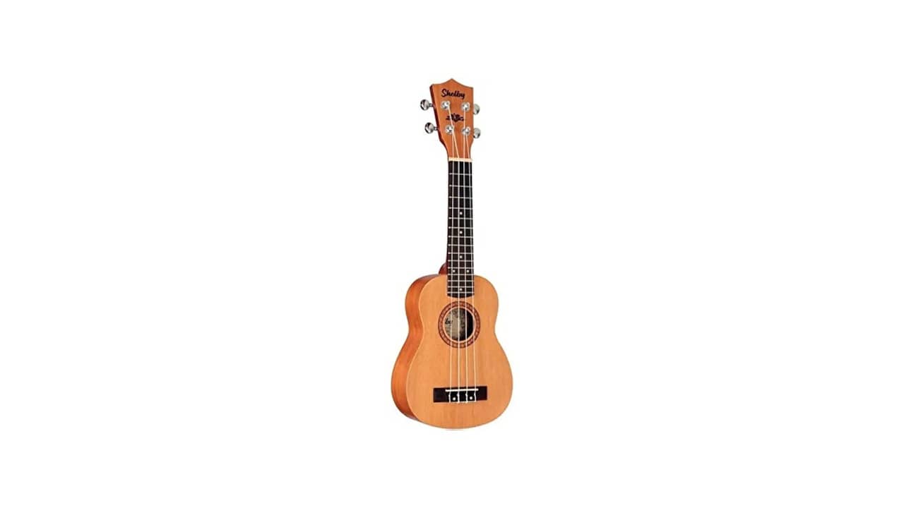 Qual o Melhor Ukulele? Top 10 Opções Analisadas